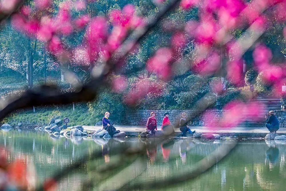 智明达(688636.SH):2023年年度净利润预增12.76%到39.29%